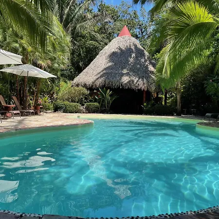 Hotel El Pequeño Gecko Verde