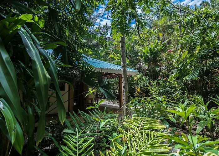El Pequeno Gecko Hotel
