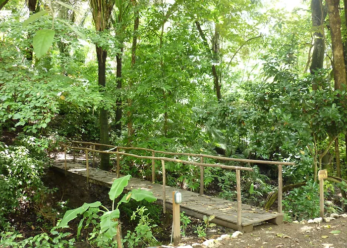 El Pequeno Gecko Hotel