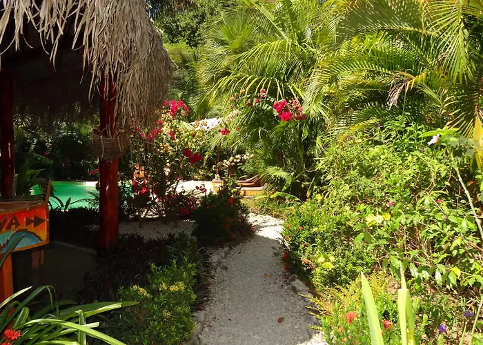 Hotel El Pequeno Gecko