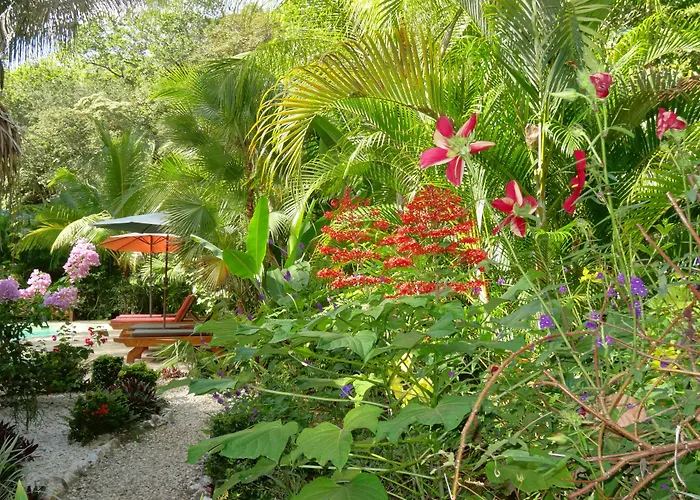 El Pequeno Gecko Hotel